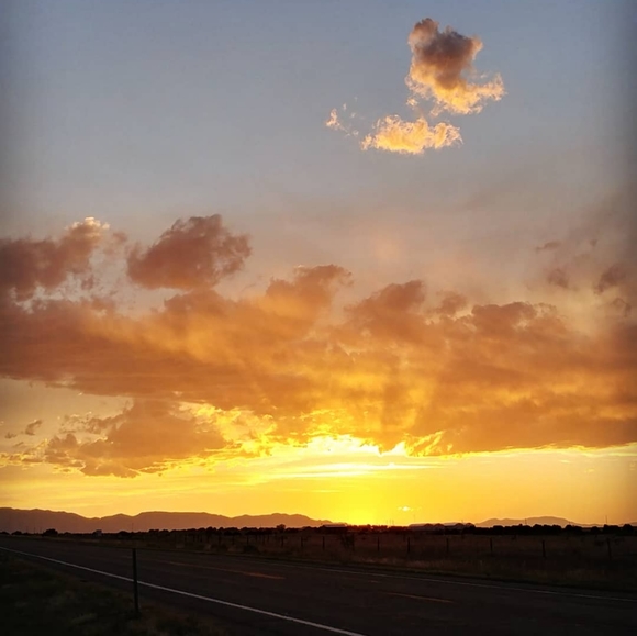 Meet your Posher, Posh - Picture 2 of 4